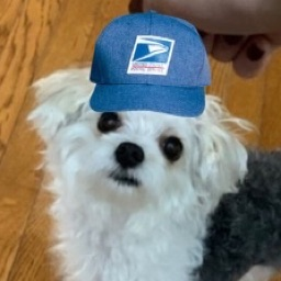 Contributor's profile picture