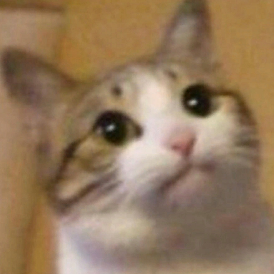 Contributor's profile picture