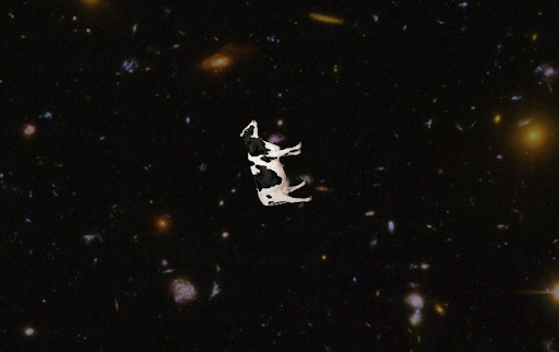 Contributor's profile picture