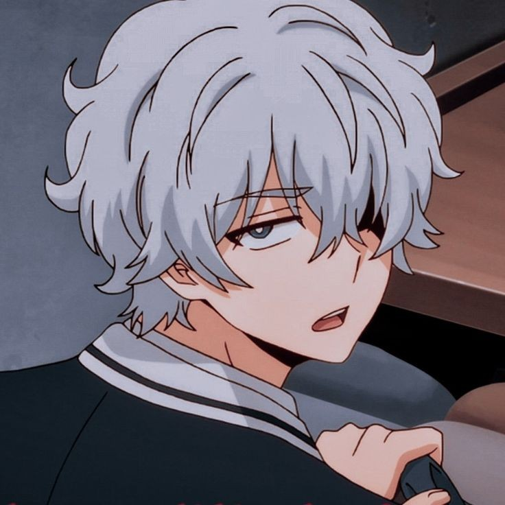 Contributor's profile picture