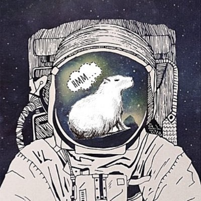 Contributor's profile picture