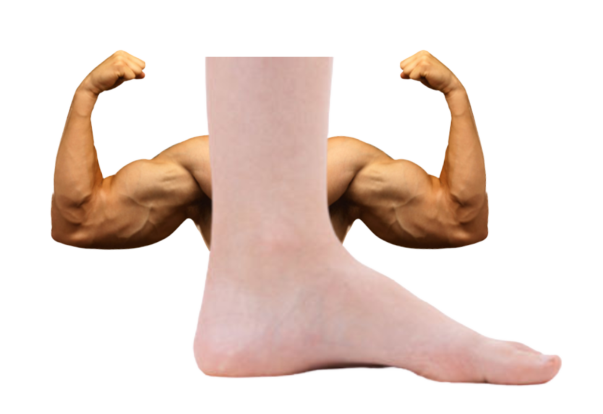 Voice actor's avatar