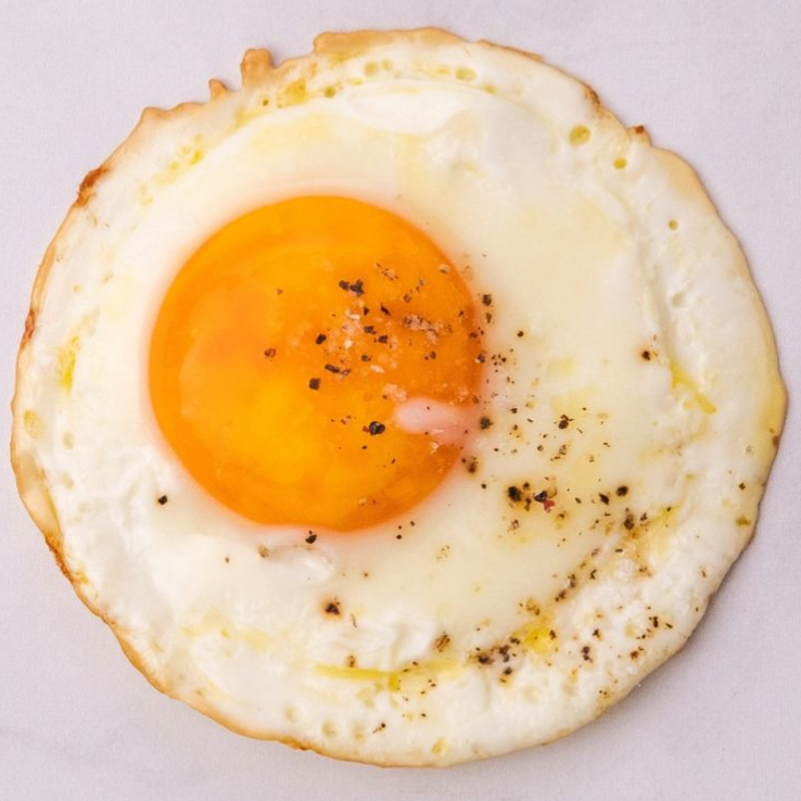 Contributor's profile picture