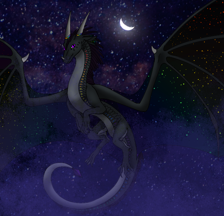 Contributor's profile picture