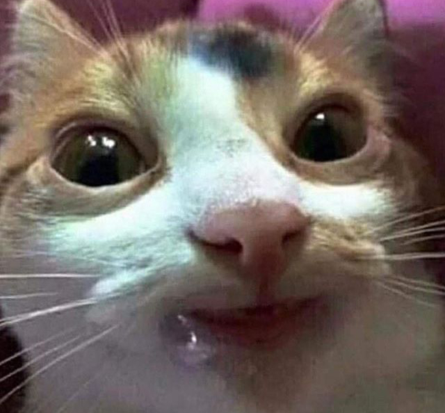 Contributor's profile picture