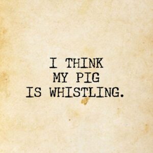 Contributor's profile picture