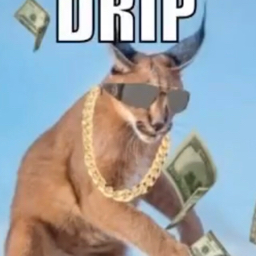 Contributor's profile picture