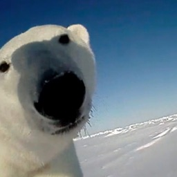 Contributor's profile picture