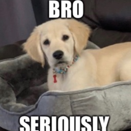 Contributor's profile picture