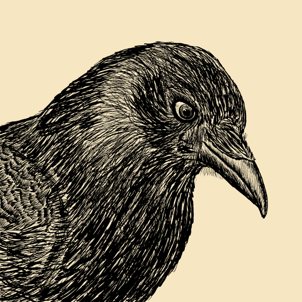 Voice actor's avatar