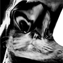 Contributor's profile picture