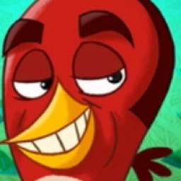 Contributor's profile picture