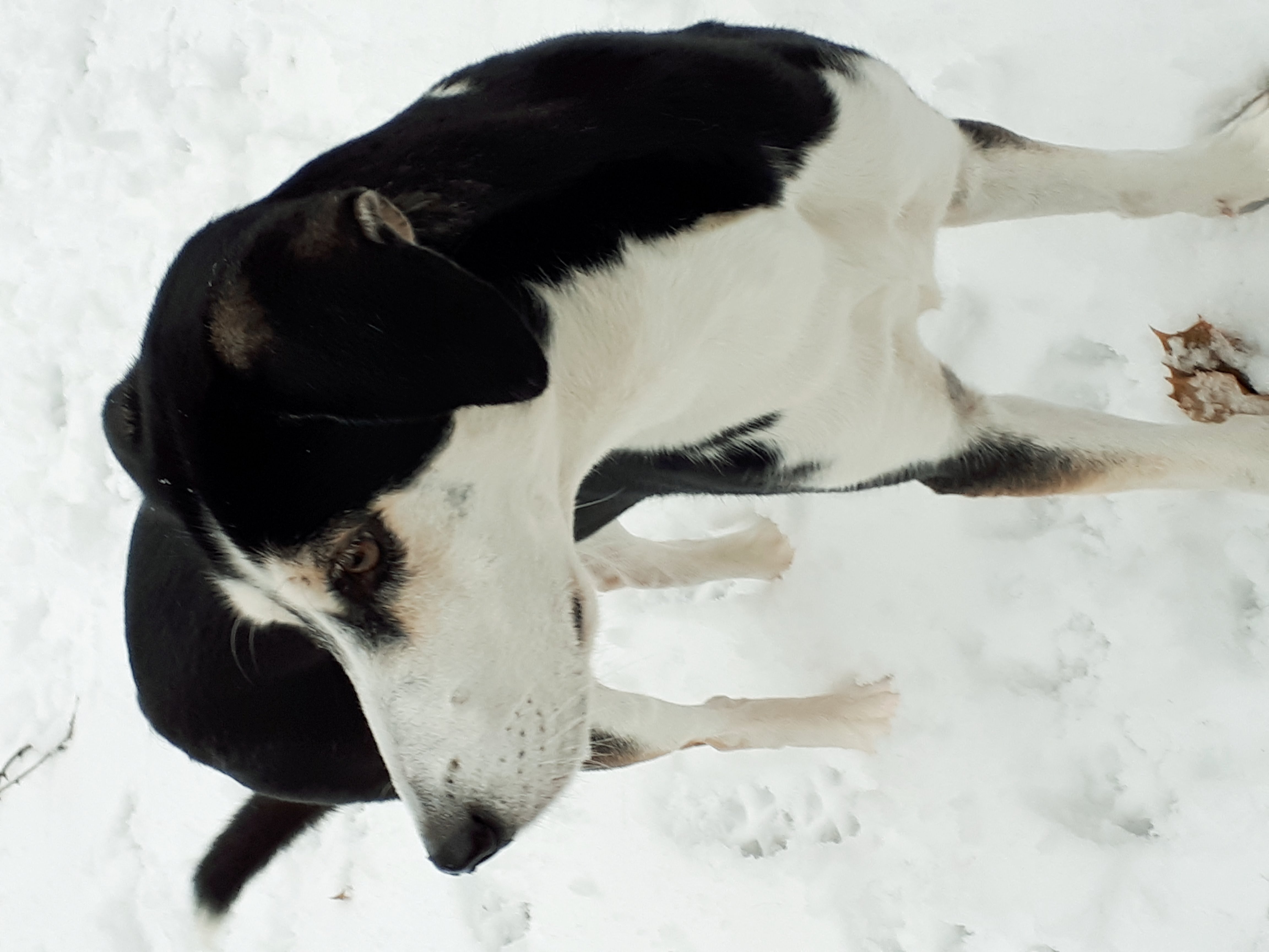 Contributor's profile picture