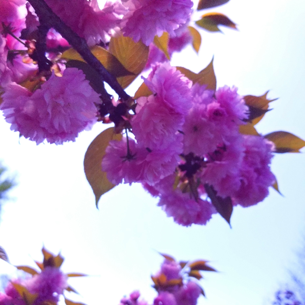 Contributor's profile picture