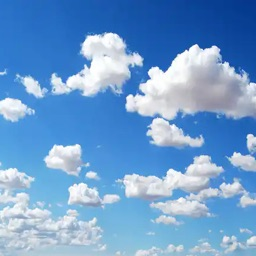 Contributor's profile picture