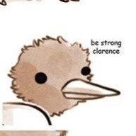 Contributor's profile picture