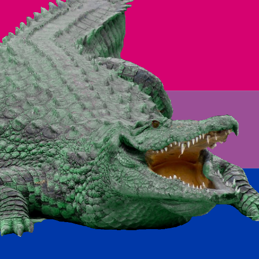 Contributor's profile picture