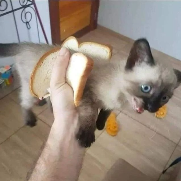 Voice actor's avatar