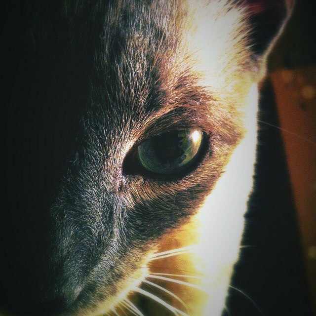 Contributor's profile picture