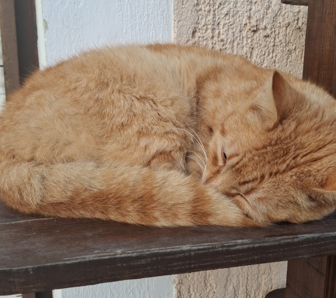 Contributor's profile picture