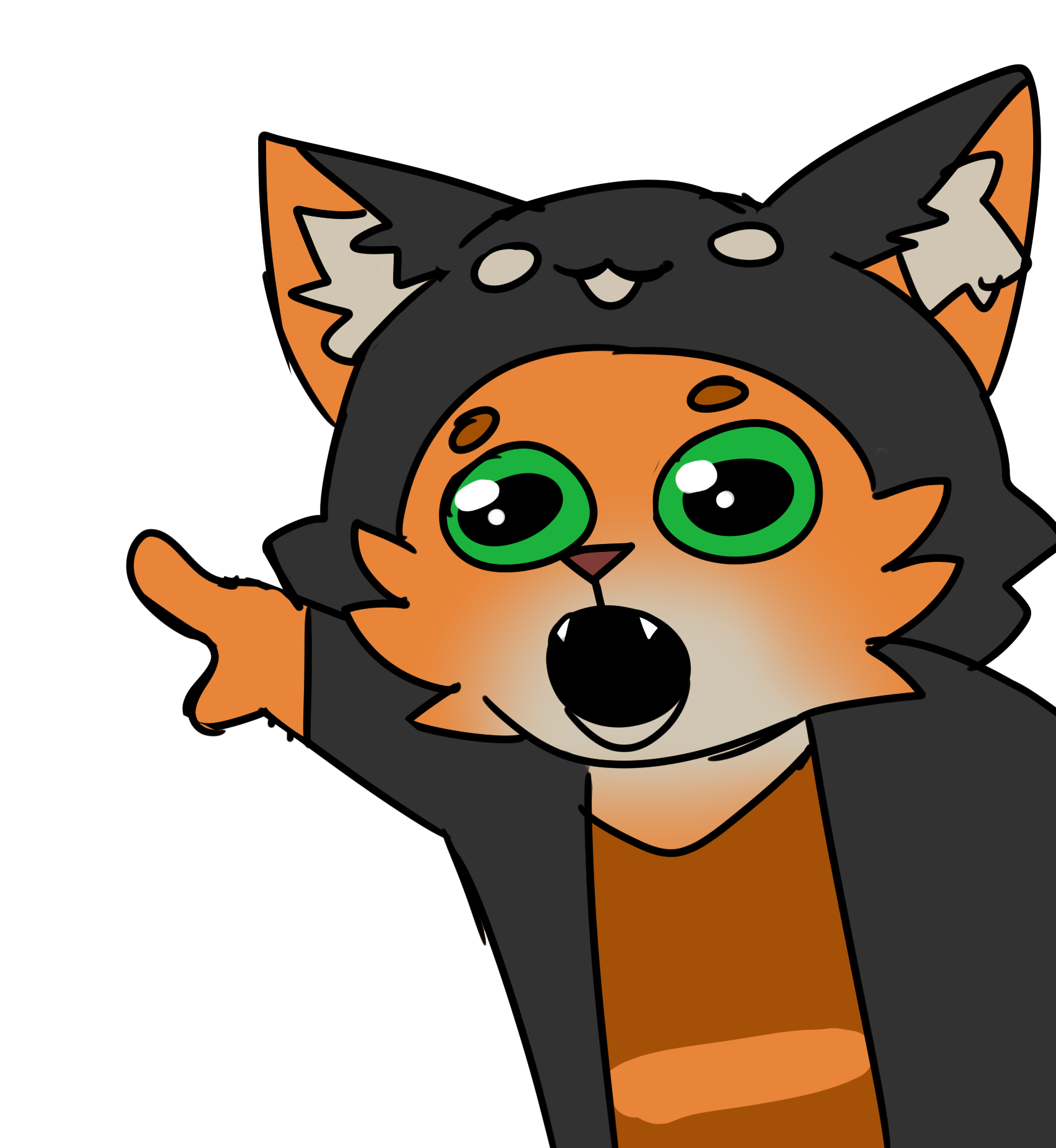 Contributor's profile picture