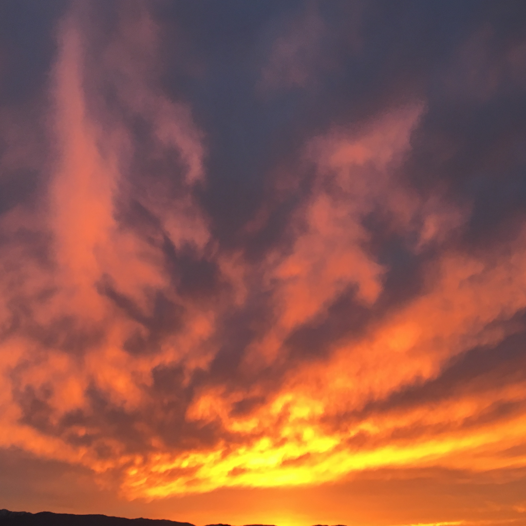 Contributor's profile picture