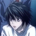 Contributor's profile picture