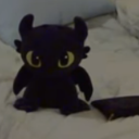 Contributor's profile picture