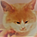 Contributor's profile picture