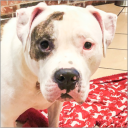 Contributor's profile picture