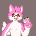 Contributor's profile picture